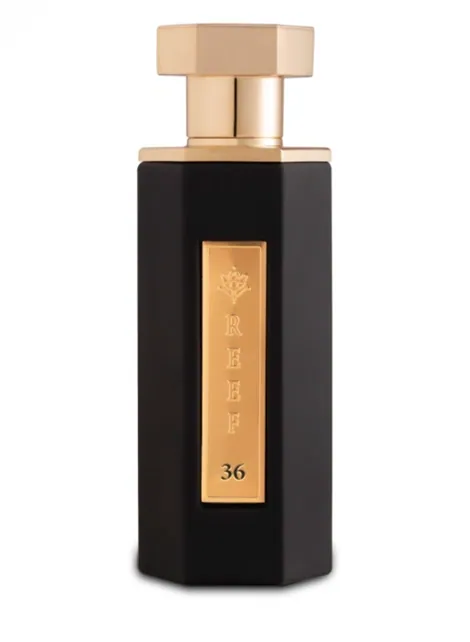Reef Reef 36